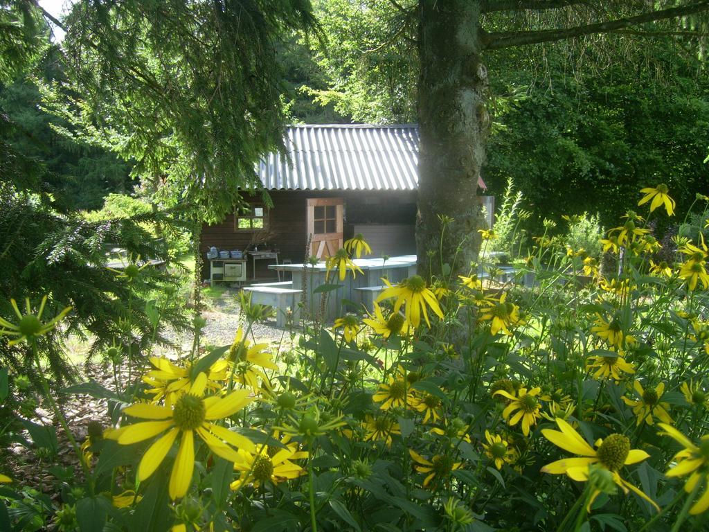 Villa Heidehof Hellenthal Extérieur photo