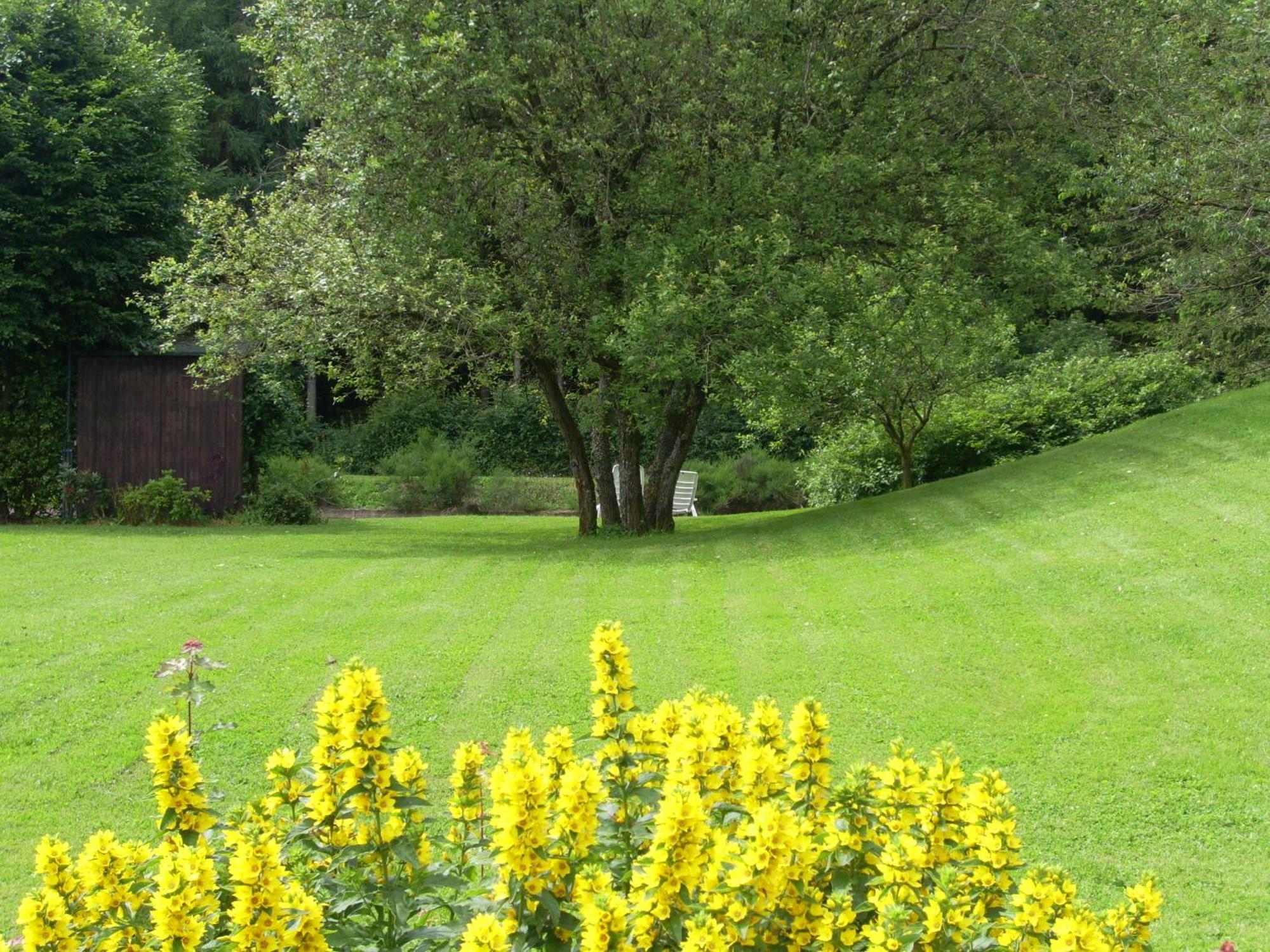 Villa Heidehof Hellenthal Extérieur photo